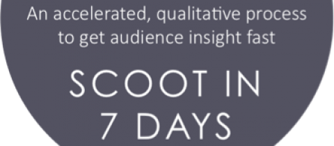 Scoot Insights
